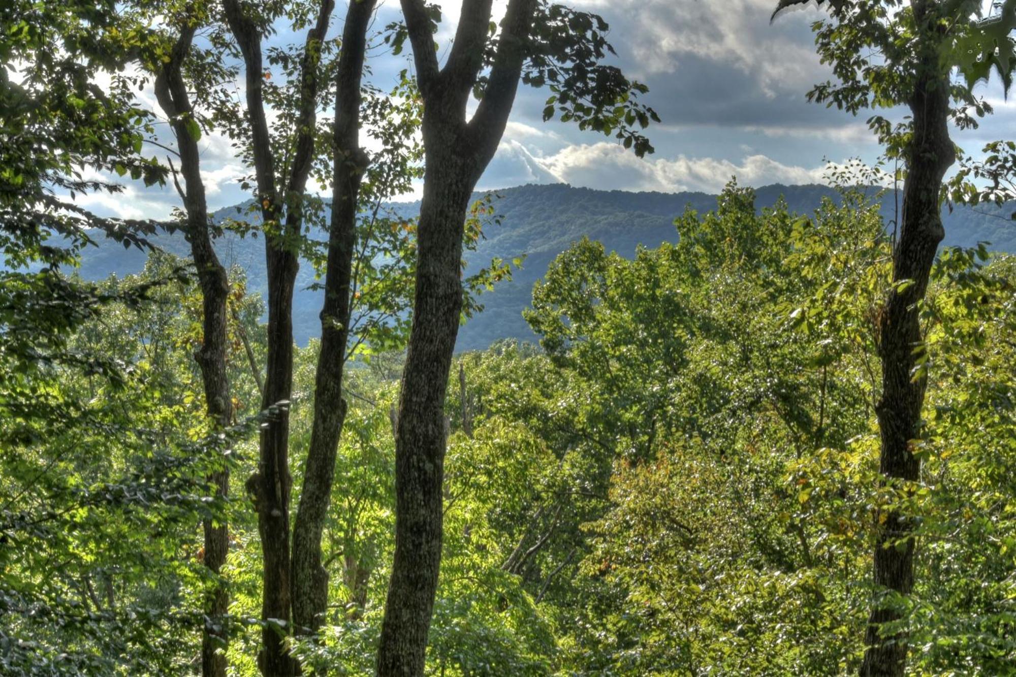 Bearfoot Ridge Wood-burning Fireplace Cozy Hot Tub Serene Views * Ellijay