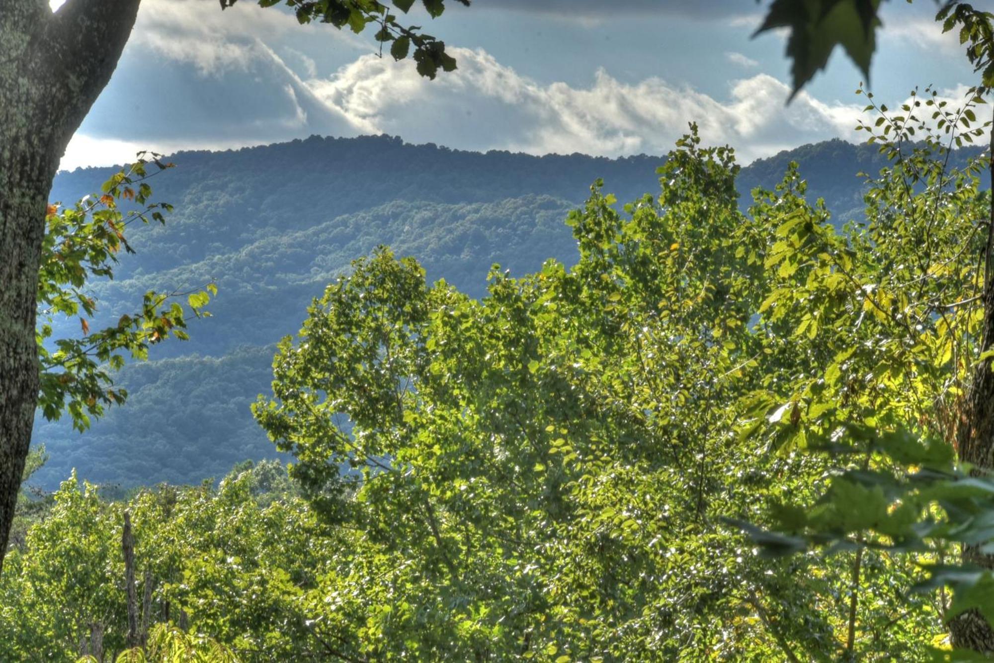 Bearfoot Ridge Wood-burning Fireplace Cozy Hot Tub Serene Views Villa Ellijay
